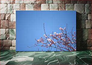 Πίνακας, Cherry Blossoms Against Clear Sky Ανθίζει κερασιές με καθαρό ουρανό