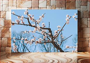 Πίνακας, Cherry Blossoms in Spring Άνθη κερασιάς την άνοιξη