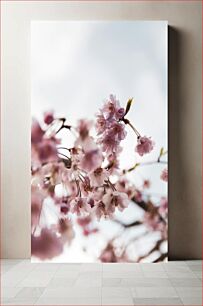 Πίνακας, Cherry Blossoms in Spring Άνθη κερασιάς την άνοιξη