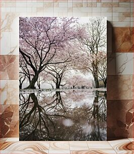 Πίνακας, Cherry Blossoms Reflecting in Water Άνθη κερασιάς που αντανακλούν στο νερό