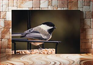 Πίνακας, Chickadee on a Bird Feeder Chickadee on a Bird Feeder