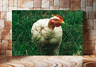 Πίνακας, Chicken in Grass Κοτόπουλο σε χόρτο