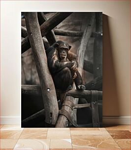 Πίνακας, Chimpanzee in Wooden Structure Χιμπατζής σε ξύλινη κατασκευή