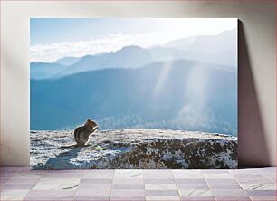 Πίνακας, Chipmunk on a Rock Chipmunk on a Rock