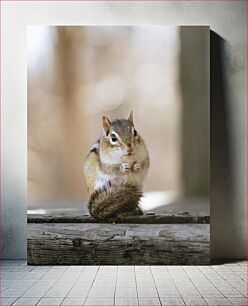 Πίνακας, Chipmunk on a Wooden Surface Chipmunk σε ξύλινη επιφάνεια