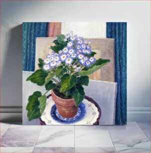 Πίνακας, Cineraria by Josephine L Reichmann