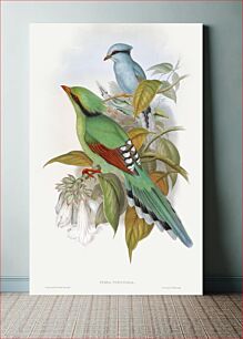 Πίνακας, Cissa Venatoria (1850–1883) by John Gould, Henry Constantine Richter and Charles Joseph Hullmandel