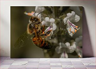 Πίνακας, Close-up of a Bee on a Flower Κοντινό πλάνο μιας μέλισσας σε ένα λουλούδι