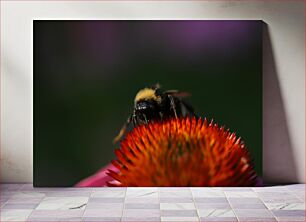 Πίνακας, Close-up of a Bee on a Flower Κοντινό πλάνο μιας μέλισσας σε ένα λουλούδι