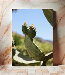 Πίνακας, Close-up of a Cactus Κοντινό πλάνο ενός κάκτου