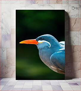 Πίνακας, Close-up of a Colorful Bird Κοντινό πλάνο ενός πολύχρωμου πουλιού