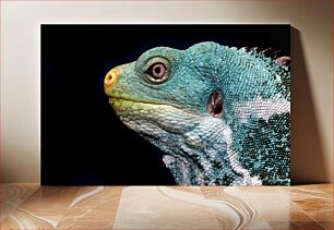 Πίνακας, Close-up of a Colorful Lizard Κοντινό πλάνο μιας πολύχρωμης σαύρας