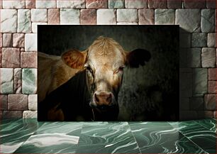 Πίνακας, Close-up of a Cow in the Shadows Κοντινό πλάνο μιας αγελάδας στις σκιές