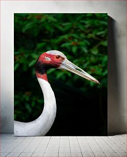 Πίνακας, Close-up of a Crane Κοντινό πλάνο ενός γερανού