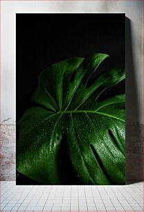 Πίνακας, Close-up of a Green Leaf with Water Droplets Κοντινό πλάνο ενός πράσινου φύλλου με σταγονίδια νερού