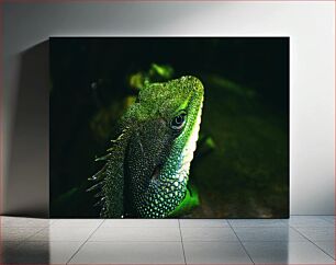 Πίνακας, Close-up of a Green Lizard Κοντινό πλάνο μιας πράσινης σαύρας