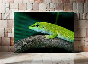 Πίνακας, Close-up of a Green Lizard Κοντινό πλάνο μιας πράσινης σαύρας