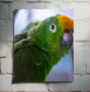 Πίνακας, Close-up of a Green Parrot Κοντινό πλάνο ενός πράσινου παπαγάλου