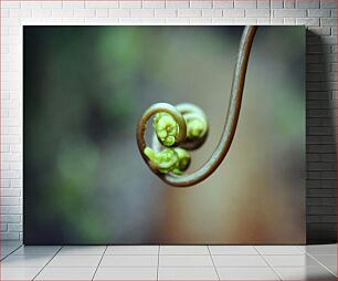 Πίνακας, Close-up of a Growing Plant Κοντινό πλάνο ενός αναπτυσσόμενου φυτού