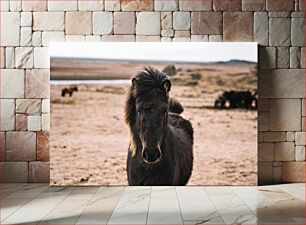 Πίνακας, Close-Up of a Horse in the Field Κοντινό πλάνο ενός αλόγου στο χωράφι