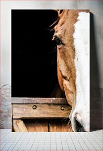 Πίνακας, Close-Up of a Horse Κοντινό πλάνο ενός αλόγου