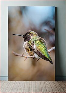 Πίνακας, Close-up of a Hummingbird Κοντινό πλάνο ενός κολιμπρί