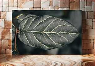 Πίνακας, Close-up of a Leaf Κοντινό πλάνο ενός φύλλου