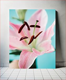 Πίνακας, Close-up of a Lily Flower Κοντινό πλάνο ενός λουλουδιού κρίνου