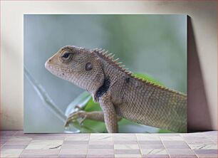 Πίνακας, Close-up of a Lizard Κοντινό πλάνο μιας σαύρας