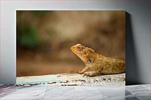 Πίνακας, Close-up of a Lizard Κοντινό πλάνο μιας σαύρας