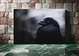 Πίνακας, Close-up of a Raven in the Dark Κοντινό πλάνο ενός κορακιού στο σκοτάδι