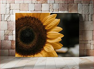 Πίνακας, Close-up of a Sunflower Κοντινό πλάνο ενός ηλίανθου