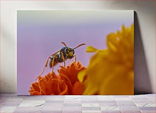 Πίνακας, Close-up of a Wasp on a Flower Κοντινό πλάνο μιας σφήκας σε ένα λουλούδι