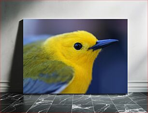 Πίνακας, Close-up of a Yellow Bird Κοντινό πλάνο ενός κίτρινου πουλιού