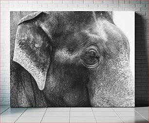 Πίνακας, Close-up of an Elephant in Black and White Κοντινό πλάνο ενός ελέφαντα σε μαύρο και άσπρο