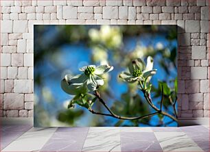 Πίνακας, Close-up of Blossoming Flowers Κοντινό πλάνο των ανθισμένων λουλουδιών