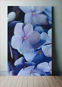 Πίνακας, Close-Up of Blue Flowers Κοντινό πλάνο μπλε λουλουδιών