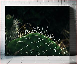 Πίνακας, Close-up of Cactus with Spines Κοντινό πλάνο κάκτου με αγκάθια