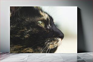 Πίνακας, Close-up of Cat's Face Κοντινό πλάνο του προσώπου της γάτας