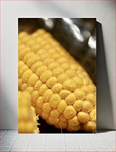 Πίνακας, Close-up of Corn on the Cob Κοντινό πλάνο του Corn on the Cob