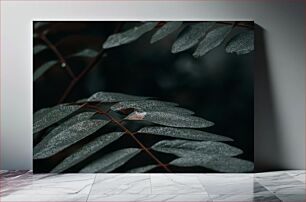 Πίνακας, Close-up of Dewy Leaves Κοντινό πλάνο των Φύλλων Δροσιάς