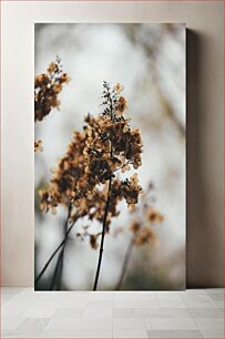 Πίνακας, Close-up of Dried Flowers Κοντινό πλάνο με αποξηραμένα λουλούδια