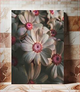 Πίνακας, Close-Up of Flowers Κοντινό πλάνο λουλουδιών