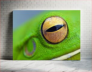 Πίνακας, Close-Up of Frog's Eye Κοντινό πλάνο του Frog's Eye