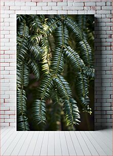 Πίνακας, Close-Up of Green Fern Leaves Κοντινό πλάνο πράσινων φύλλων φτέρης