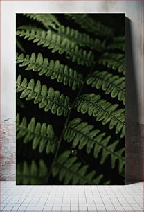 Πίνακας, Close-up of Green Ferns Κοντινό πλάνο πράσινων φτέρων