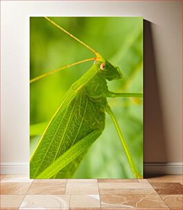 Πίνακας, Close-Up of Green Insect Κοντινό πλάνο πράσινου εντόμου