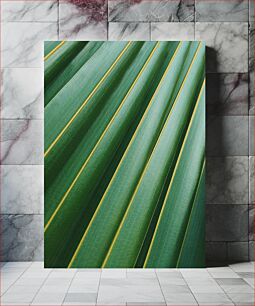 Πίνακας, Close-up of Green Leaves Κοντινό πλάνο με πράσινα φύλλα