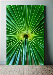 Πίνακας, Close-up of Green Palm Leaf Κοντινό πλάνο του πράσινου φύλλου φοίνικα