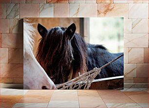 Πίνακας, Close-Up of Horses Κοντινό πλάνο των αλόγων